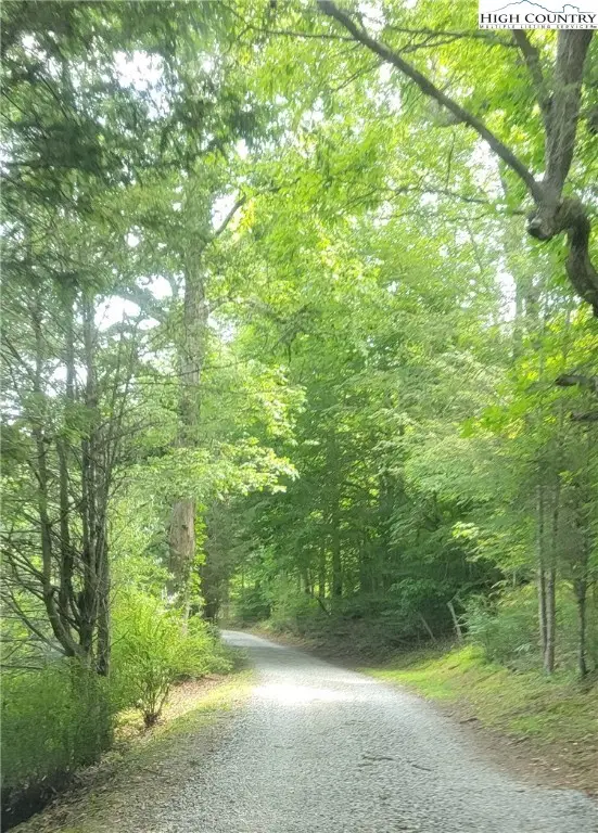 Lot 8 TBD Lucky Hill Road, Piney Creek, NC 28631 - Image #3