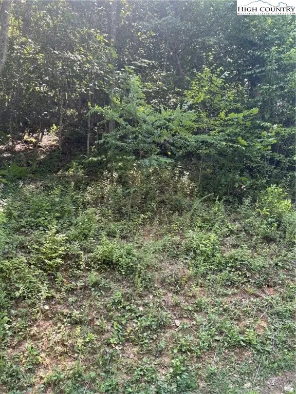 Lot 15 Larkspur Trail, Banner Elk, NC 28604 - Image #2