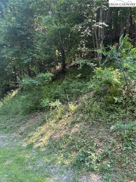 Lot 15 Larkspur Trail, Banner Elk, NC 28604 - Image #3