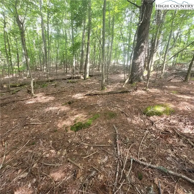 102 Oak Road, Beech Mountain, NC 28604 - Image #1