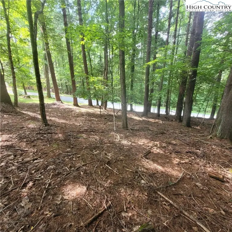 102 Oak Road, Beech Mountain, NC 28604 - Image #3