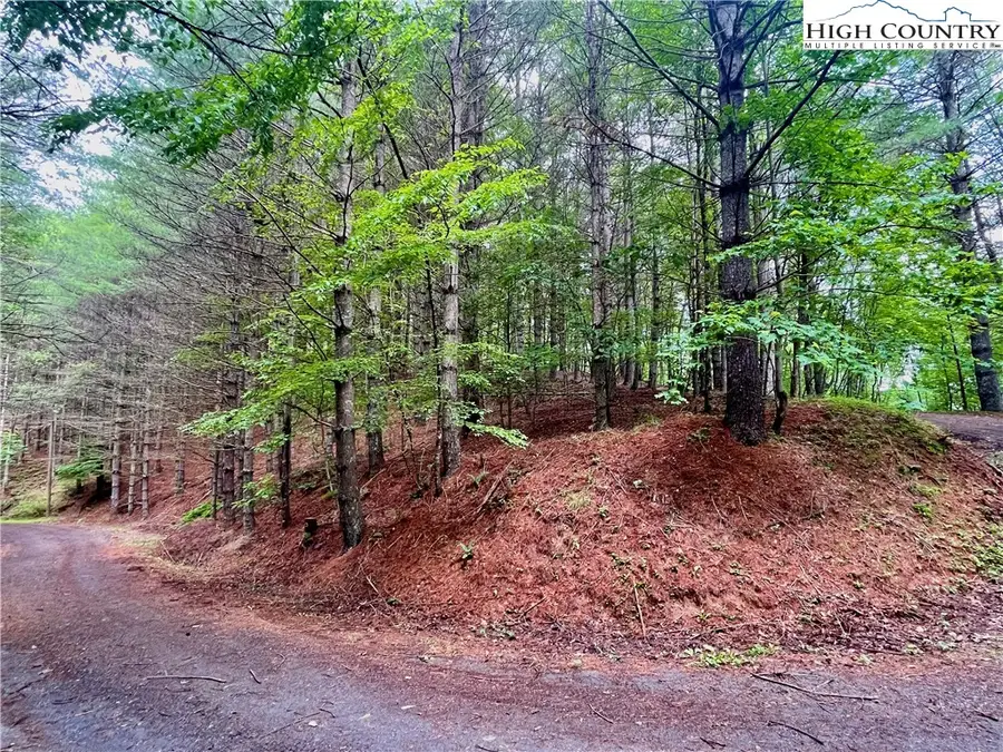 TBD Daniel Pierce Road, West Jefferson, NC 28694 - Image #3