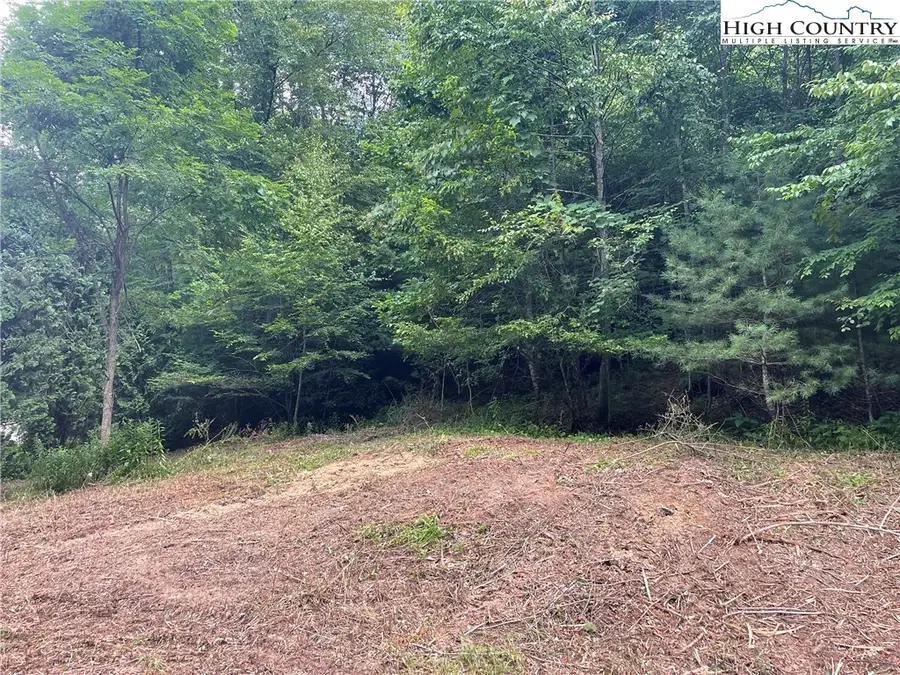 TBD Forest Ridge, Fleetwood, NC 28682 - Image #3