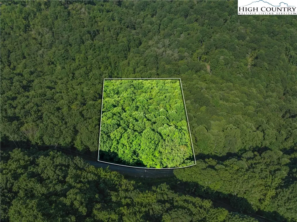 303 Locust Ridge Road, Beech Mountain, NC 28604 - Image #1