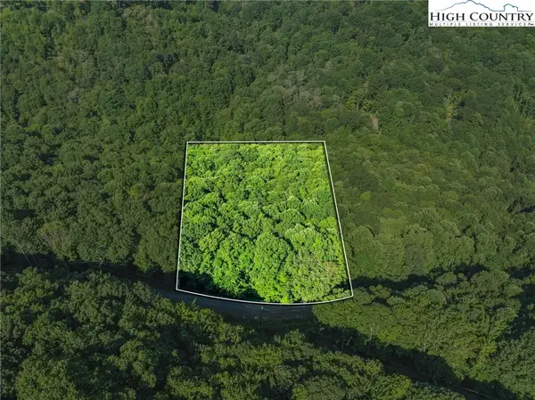 303 Locust Ridge Road, Beech Mountain, NC 28604