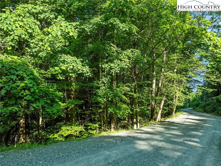 303 Locust Ridge Road, Beech Mountain, NC 28604 - Image #2