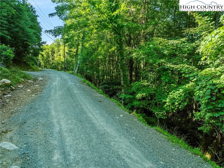 303 Locust Ridge Road, Beech Mountain, NC 28604 - Image #3