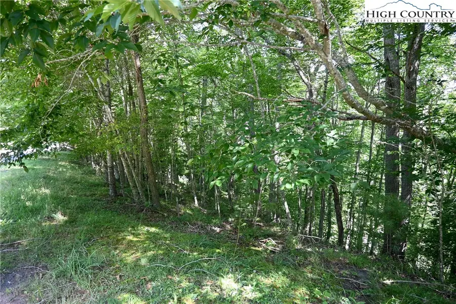 38 Turkey Ridge S. Road, Lansing, NC 28643 - Image #3