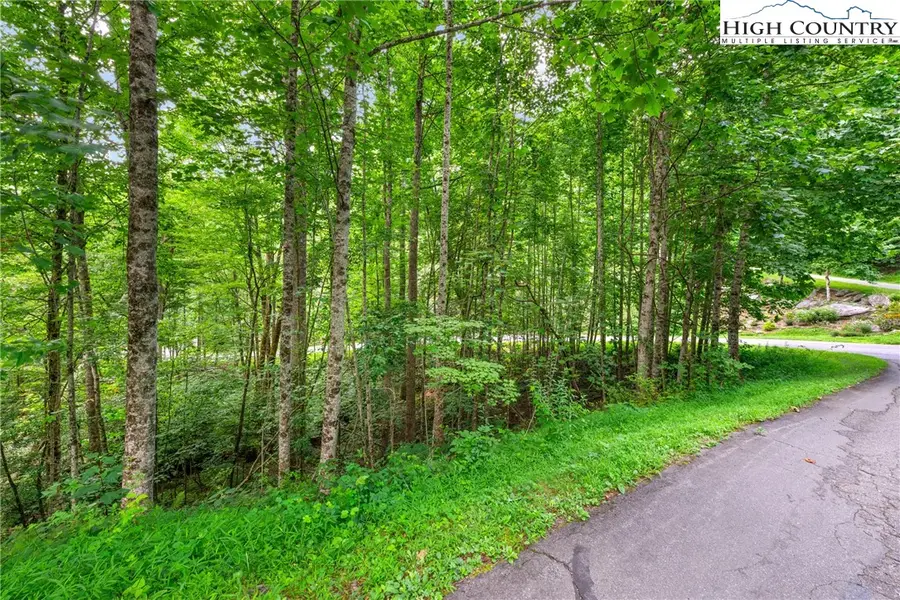 Lot 201 Twin Rivers Drive, Boone, NC 28607 - Image #2