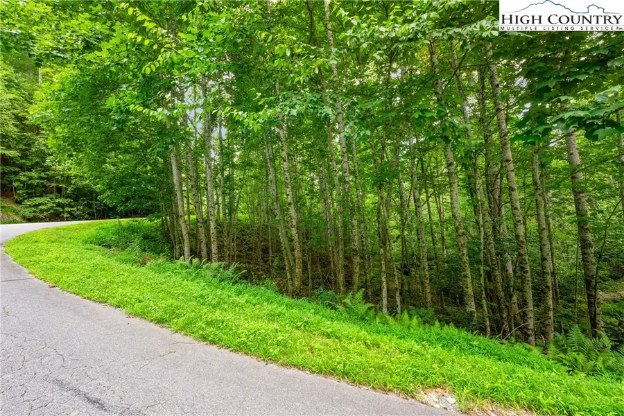 Lot 201 Twin Rivers Drive, Boone, NC 28607 - Image #3