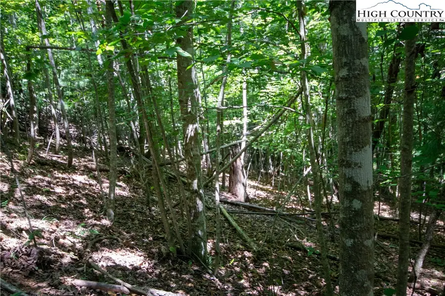 Lot# 112 Stoney Brook Drive, Lenoir, NC 28645 - Image #3