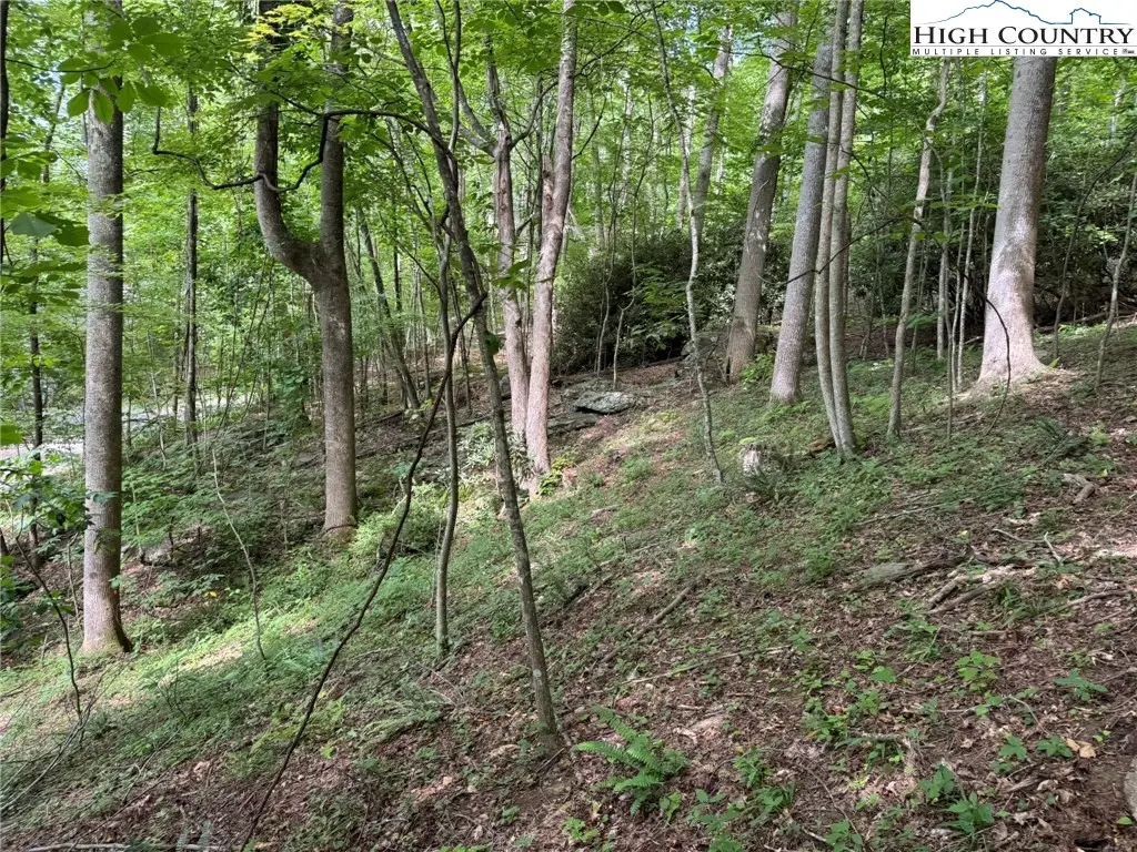 TBD Boulder Gardens Road, Banner Elk, NC 28604 - Image #1