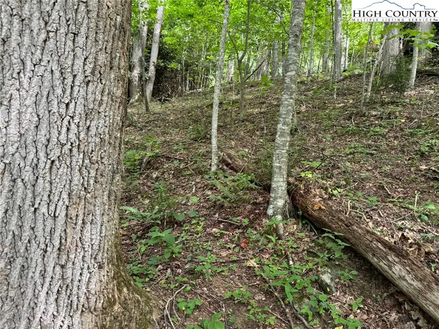 TBD Boulder Gardens Road, Banner Elk, NC 28604 - Image #3