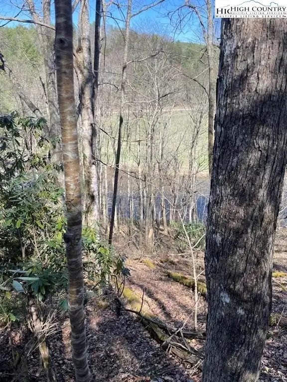 TBD Spruce Lane, Crumpler, NC 28617