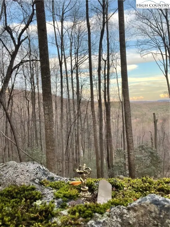 48 Wildcat Wilderness Parkway, Deep Gap, NC 28618