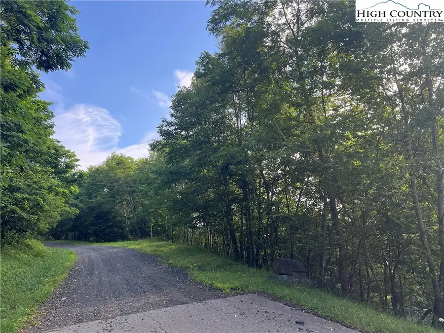 none Stony Fork Road, West Jefferson, NC 28694 - Image #2