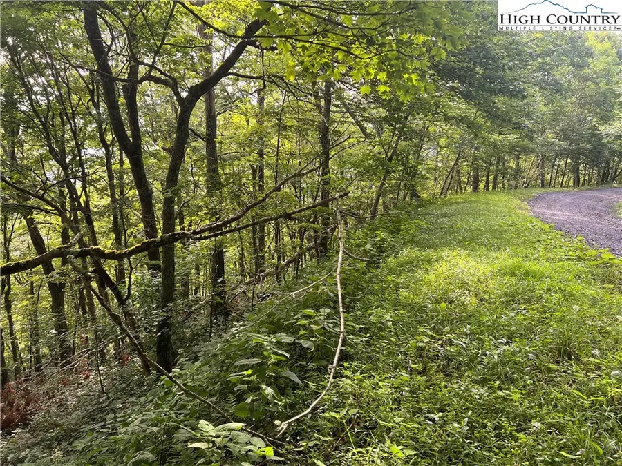 none Stony Fork Road, West Jefferson, NC 28694 - Image #3