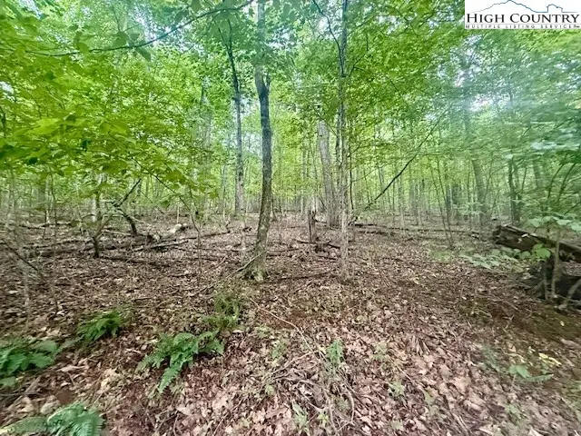 TBD Winter Street, Jefferson, NC 28640 - Image #2