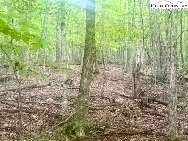 TBD Winter Street, Jefferson, NC 28640 - Image #3