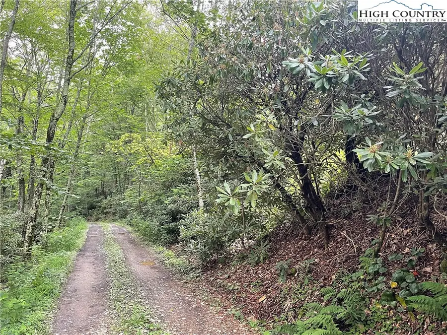 TBD Snow Ridge Road, Banner Elk, NC 28604 - Image #2