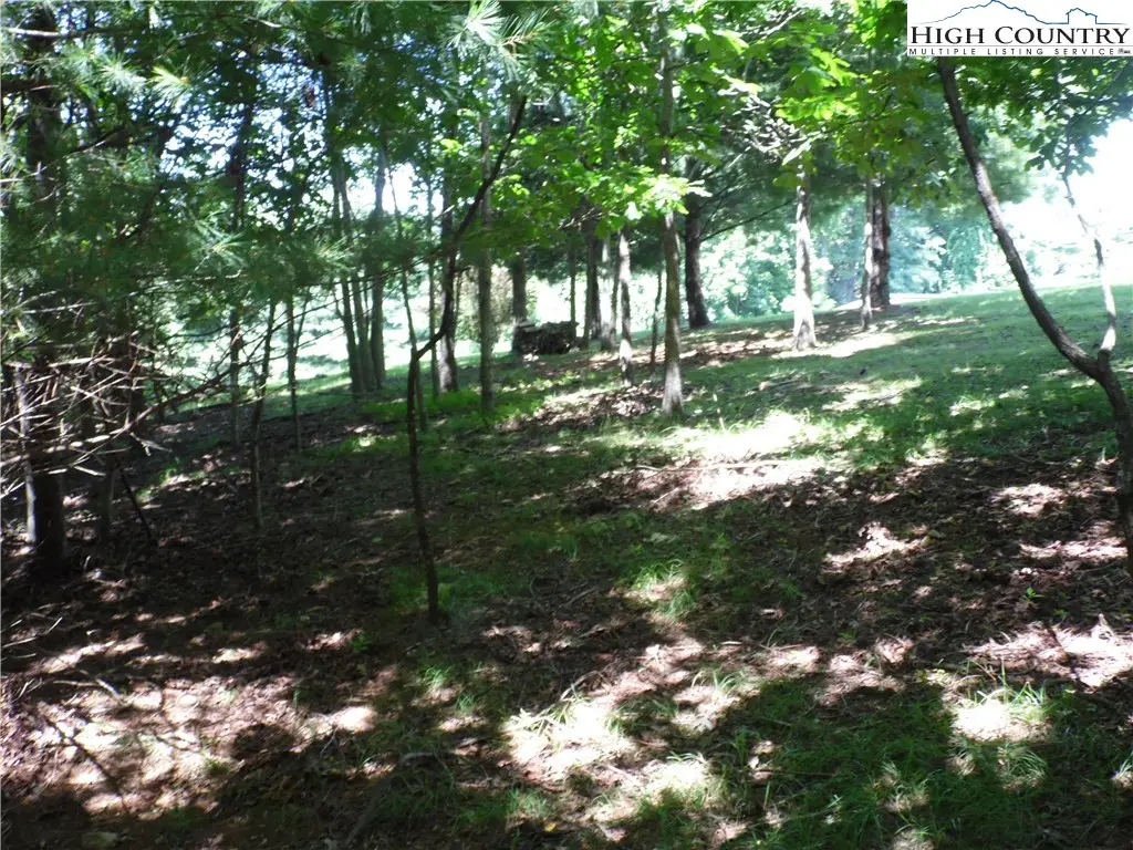 TBD Hickory View Drive #34, Sparta, NC 28675 - Image #1