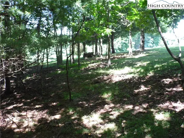 TBD Hickory View Drive #34, Sparta, NC 28675