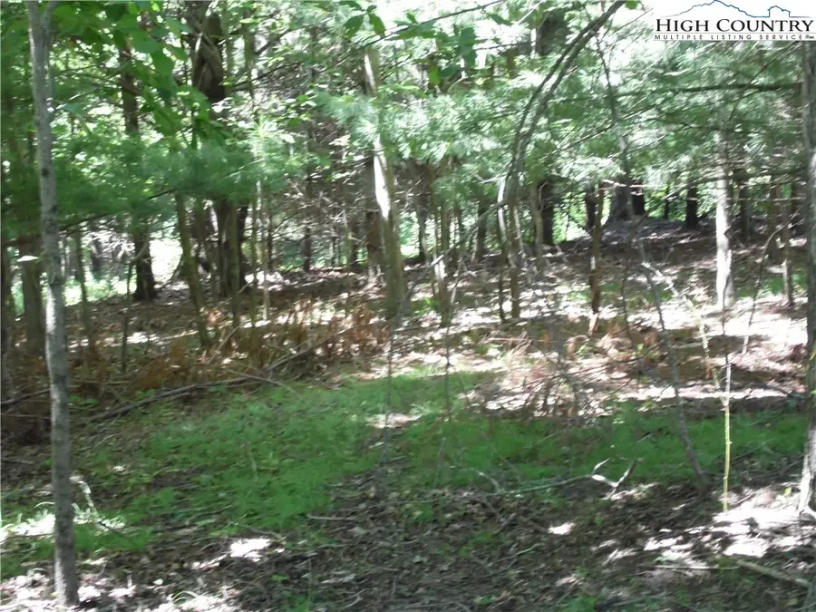 TBD Hickory View Drive #34, Sparta, NC 28675 - Image #2