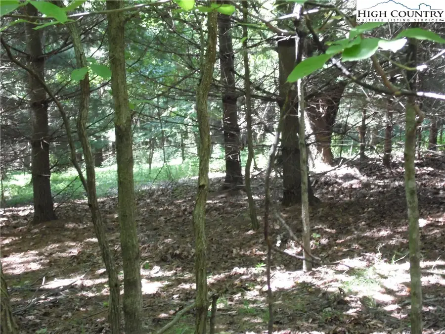 TBD Hickory View Drive #34, Sparta, NC 28675 - Image #3