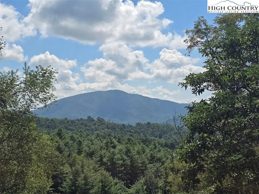 979 Wagon Road, Warrensville, NC 28693 - Image #3