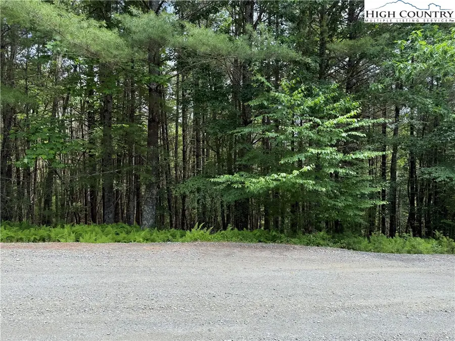 TBD (Lot 62) Dave's Connector Road, Jefferson, NC 28640 - Image #2