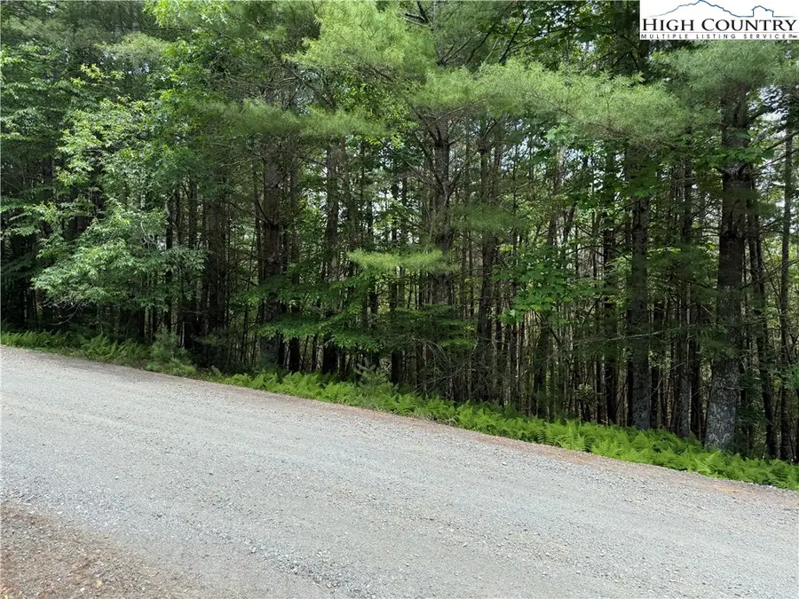 TBD (Lot 62) Dave's Connector Road, Jefferson, NC 28640 - Image #3