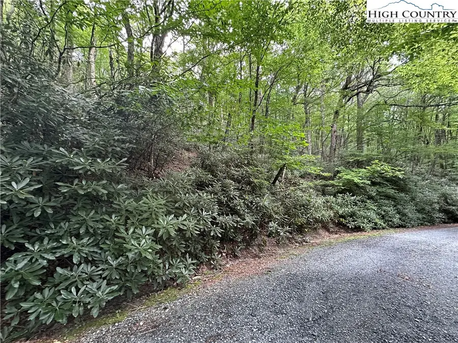 TBD Jewel Weed Lane, Blowing Rock, NC 28605 - Image #2