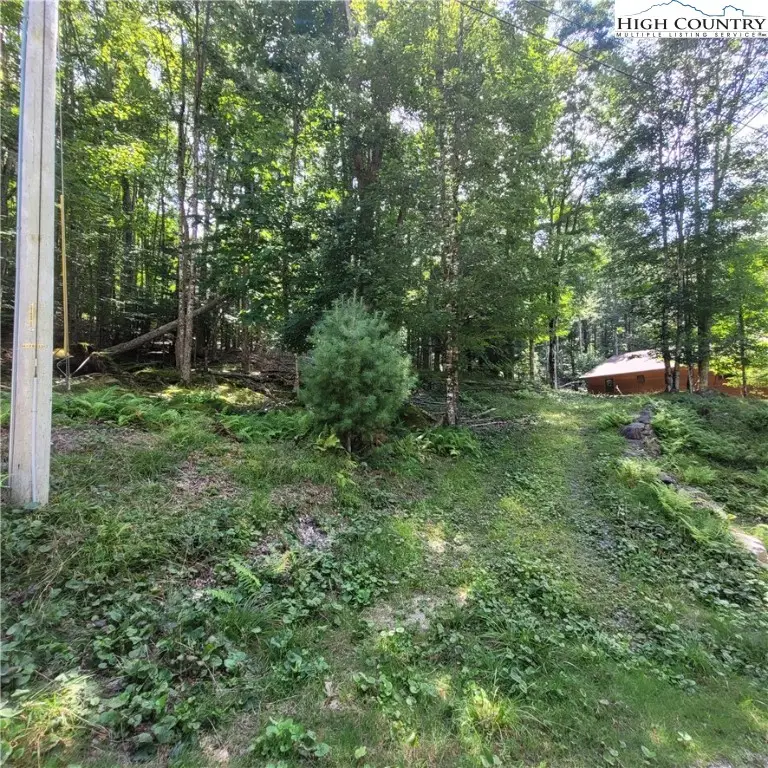 106 Woodridge Road, Beech Mountain, NC 28604 - Image #2