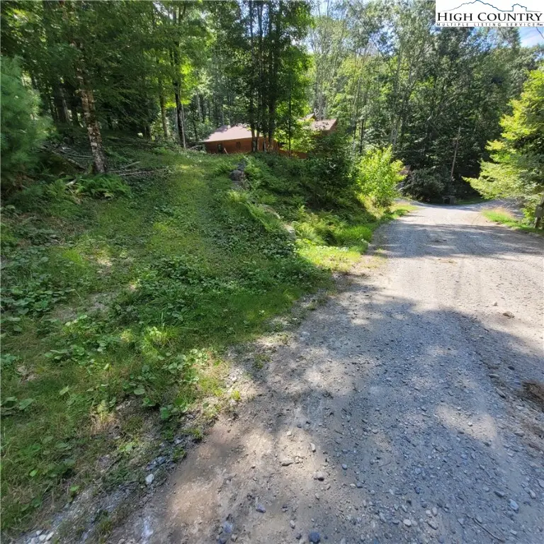 106 Woodridge Road, Beech Mountain, NC 28604 - Image #3
