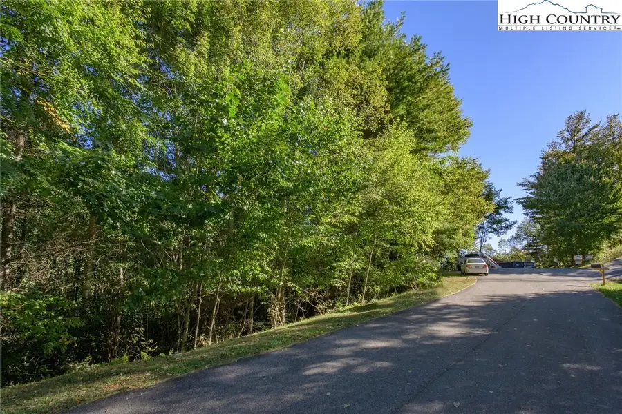 Lot 38 White Fox Lane, Banner Elk, NC 28604 - #2