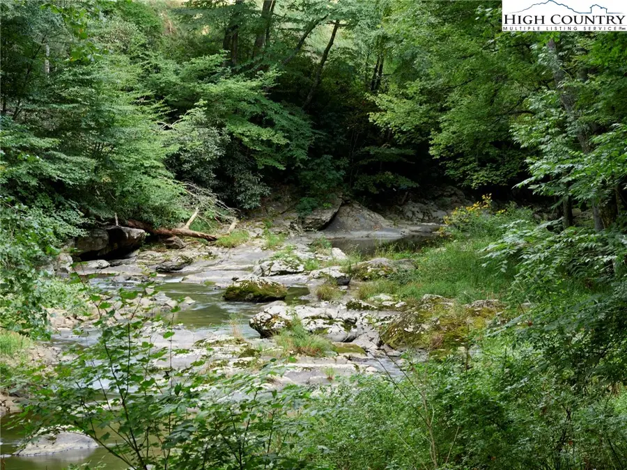 245 Tom Laws Lane, Elk Park, NC 28622 - Image #2