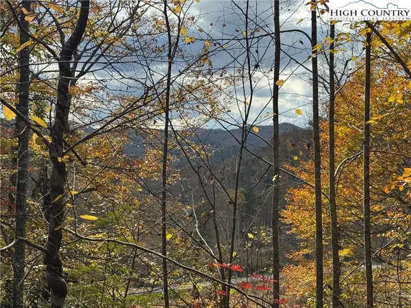 TBD Globe Road, Lenoir, NC 28645