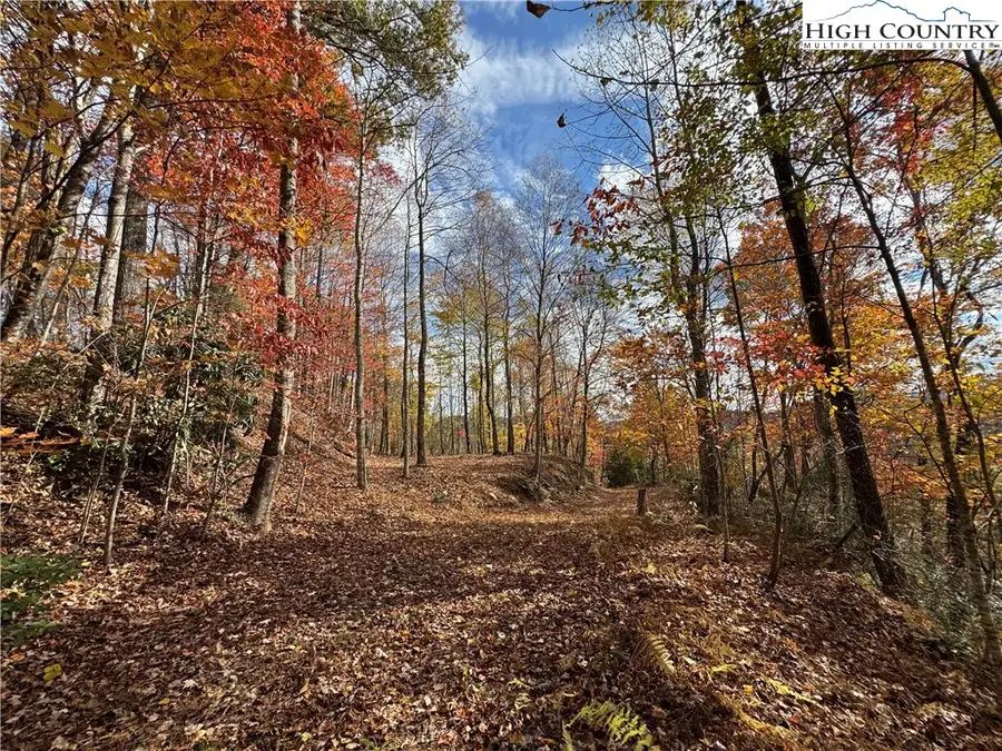 TBD Globe Road, Lenoir, NC 28645 - Image #3