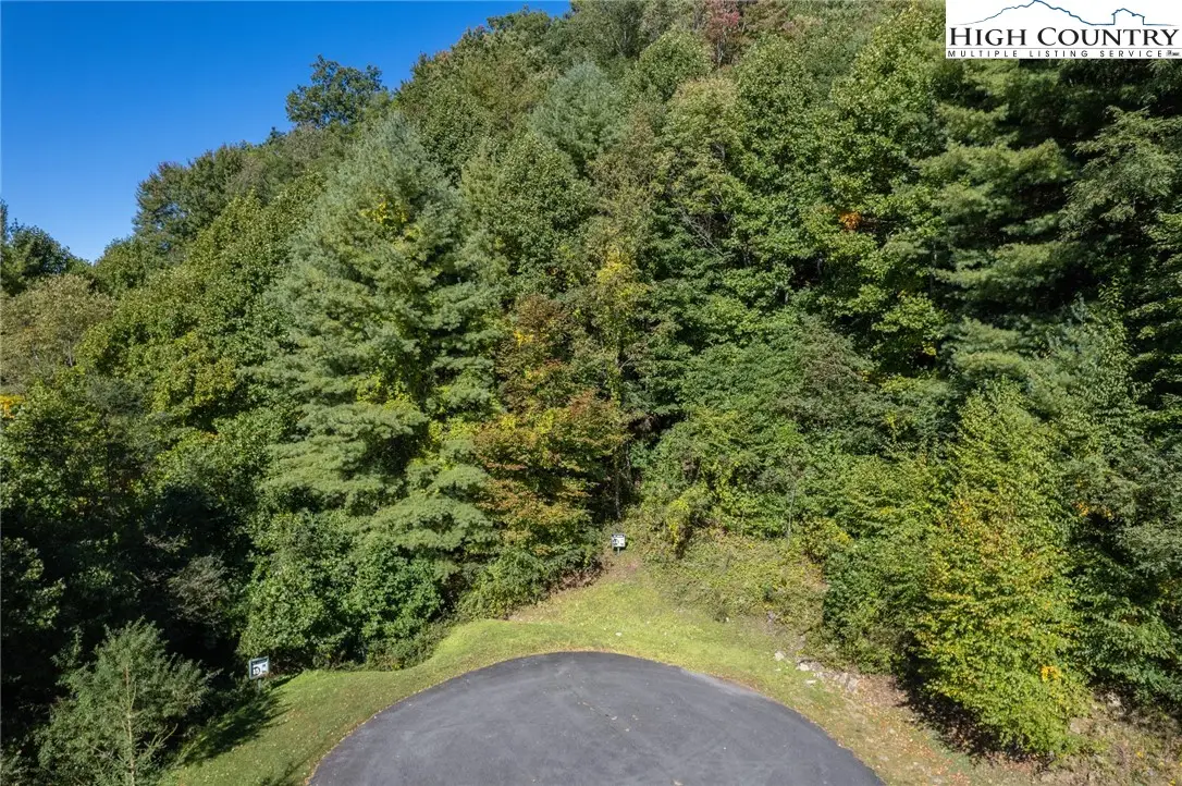 Lot 45 W Silver Springs Drive, Banner Elk, NC 28604 - Image #1