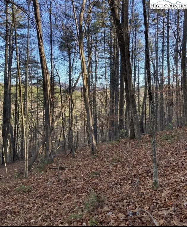 Lots 1 & 2 Toe River Lane, Newland, NC 28657 - Image #1
