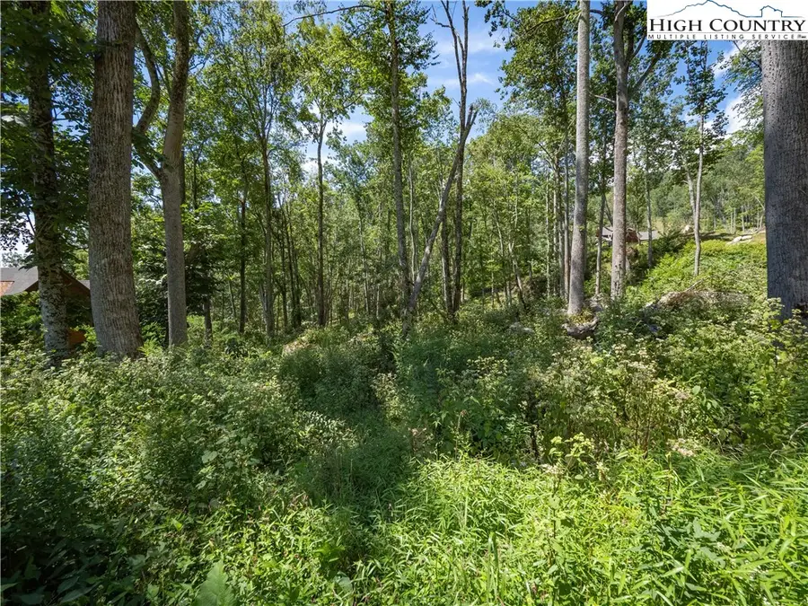 Lot V79 Tioga Trail, Banner Elk, NC 28604 - Image #3