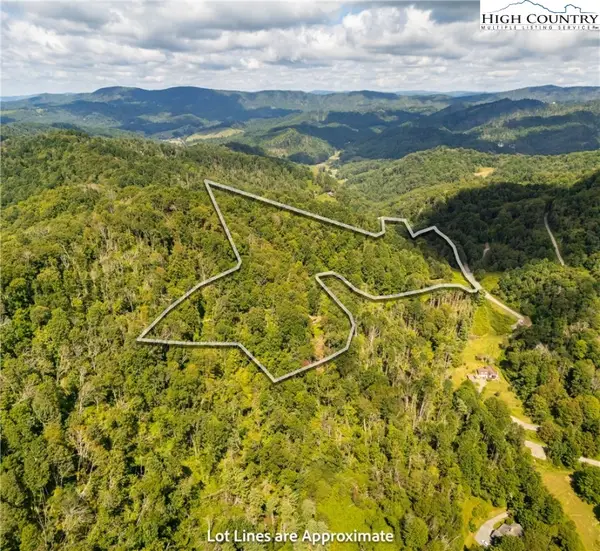 2811 Georges Gap Road, Vilas, NC 28692