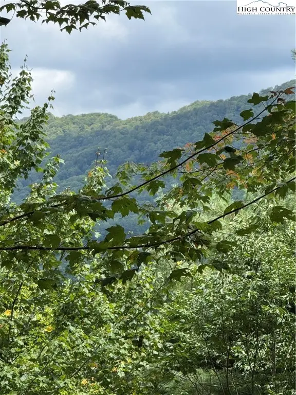 175 Ridgeview Road #2, Sugar Mountain, NC 28604 - Image #3