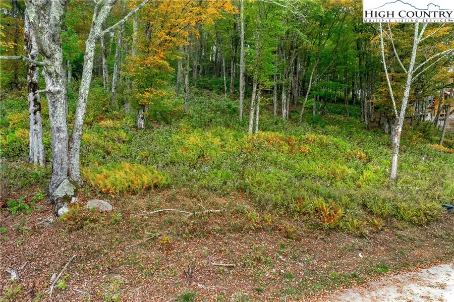 R-7 Eagle Camp Overlook, Banner Elk, NC 28604 - Image #2