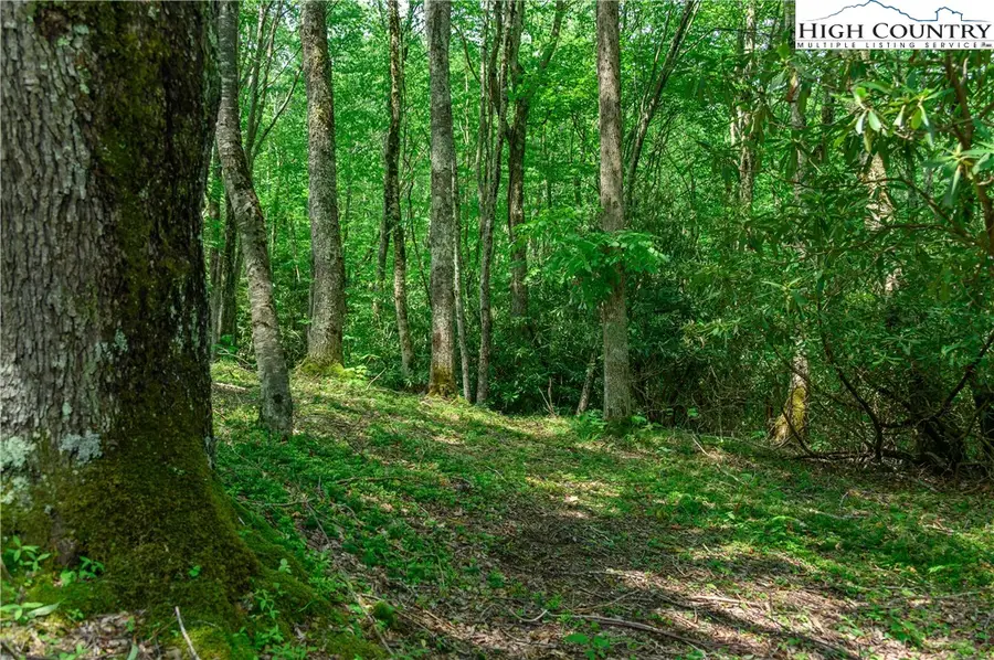 ES-30 Eagle Springs Trail, Banner Elk, NC 28604 - Image #3