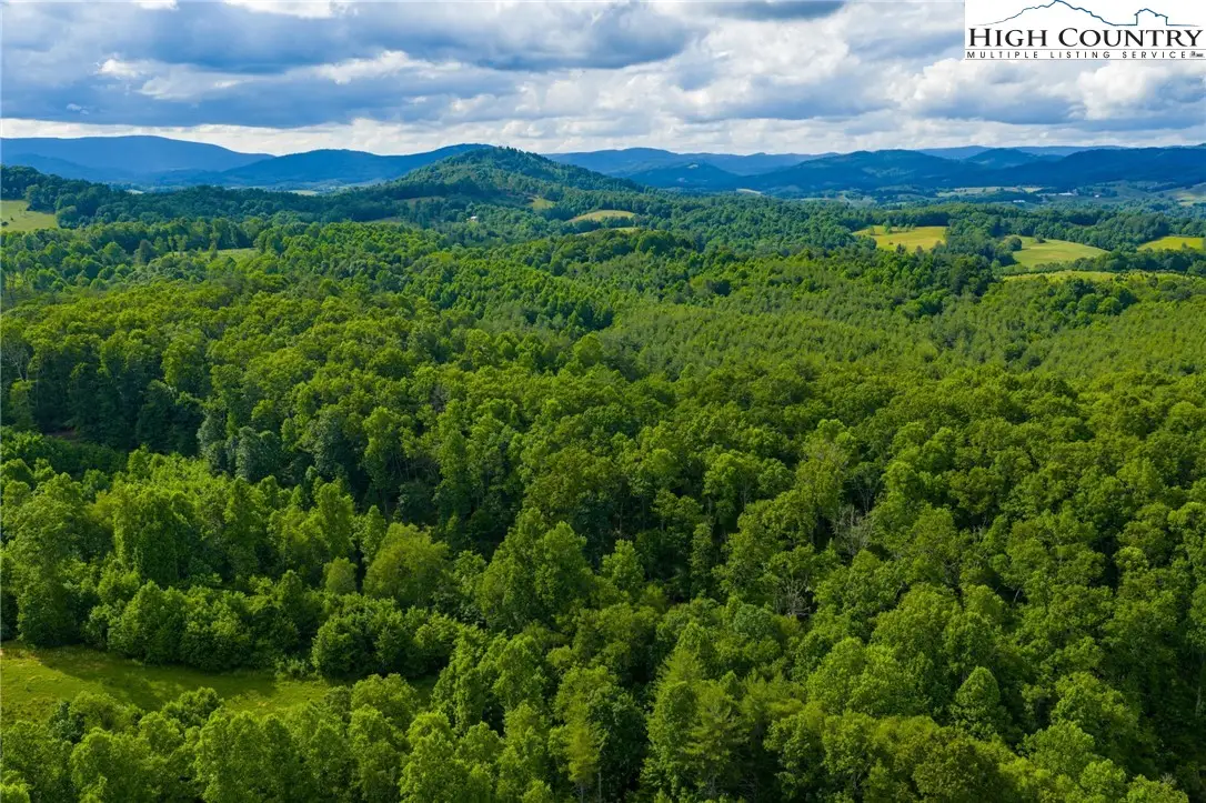 TBD Phipps Dairy Road, Piney Creek, NC 28663 - #1