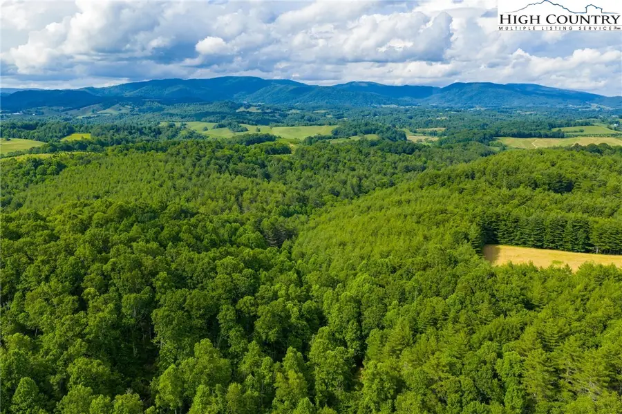 TBD Phipps Dairy Road, Piney Creek, NC 28663 - #2