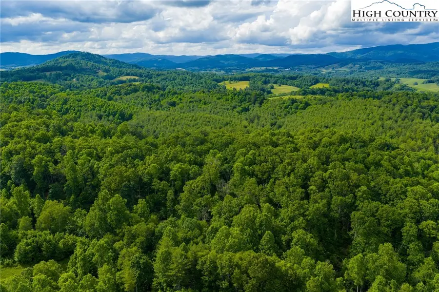 TBD Phipps Dairy Road, Piney Creek, NC 28663 - #3