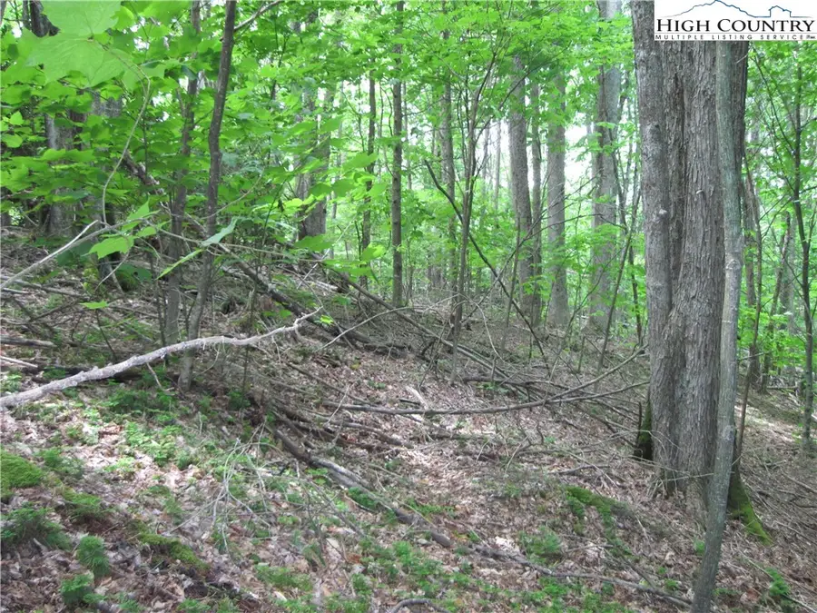 120 Sassafrass Rd, Beech Mountain, NC 28604 - Image #2