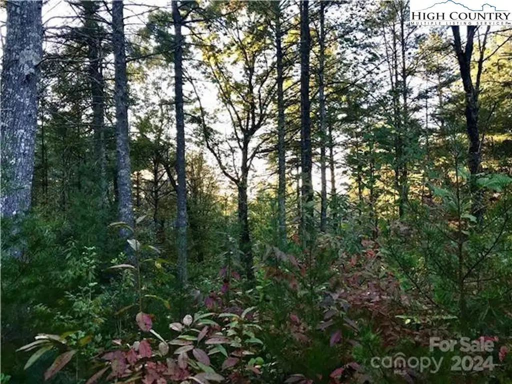 1211 Winding Creek Way, Lenoir, NC 28645 - Image #1